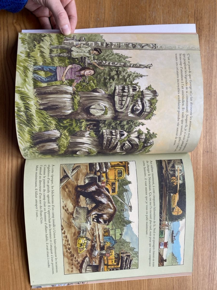 Fumetti: Fabian Gregoire: Le Vol du Grizzly - comic – Usato da Zürich venduto da ann_9fv5 1