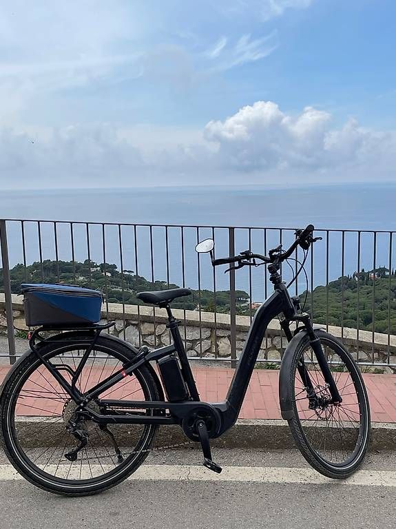 Vélos: Flyer Gotour 5 7.10 – D'occasion à Laupen BE par mar_x6n9
