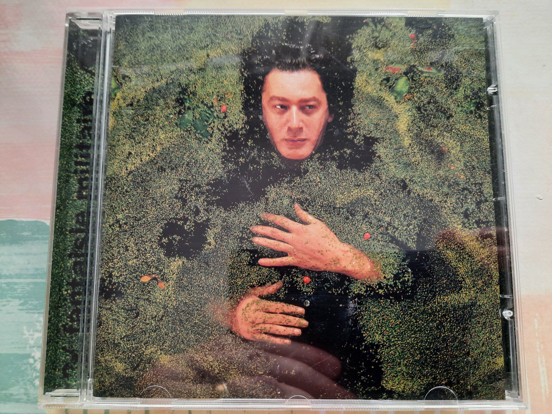 CDs: CD Bashung - Fantaisie Militaire – Gebraucht aus Pully von bro_n52j