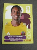 Panini Wm 2026