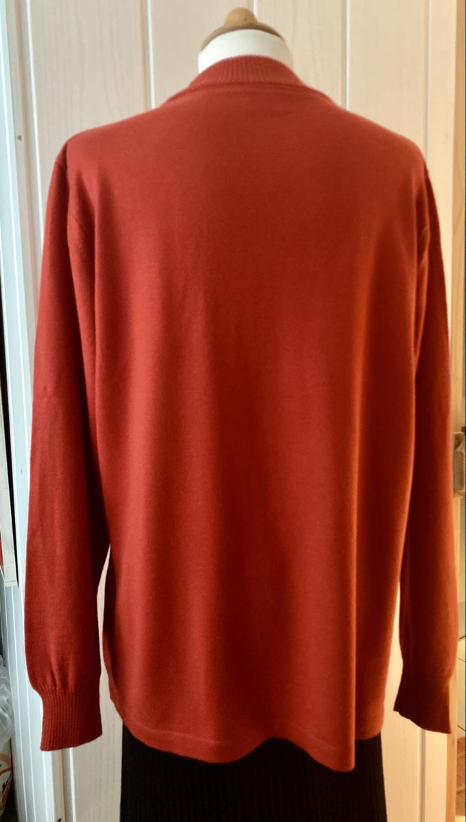 Pullover & Sweatshirts: Neu: Delmod Strick-Pulli, 60% Wolle, Orange Gr. L – Neu und originalverpackt aus Stetten AG von Hanya 5