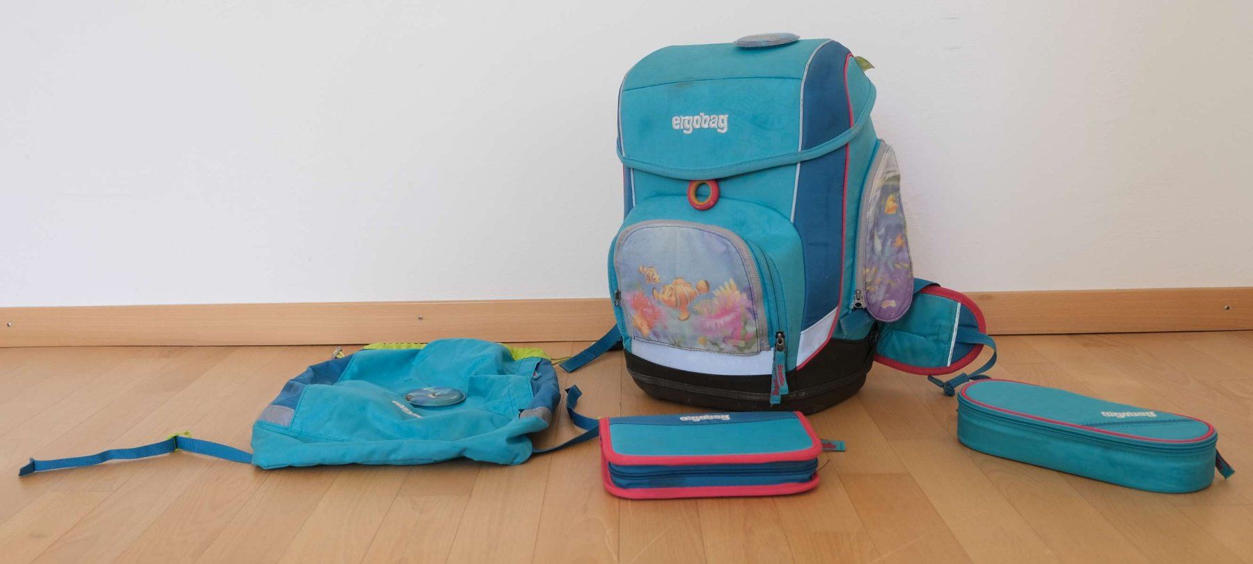 Ergobag Borse & Zaini: Ergobag Schulrucksack mit Turnbeutel und Etui – Usato da Stäfa venduto da cka_5r5z 3