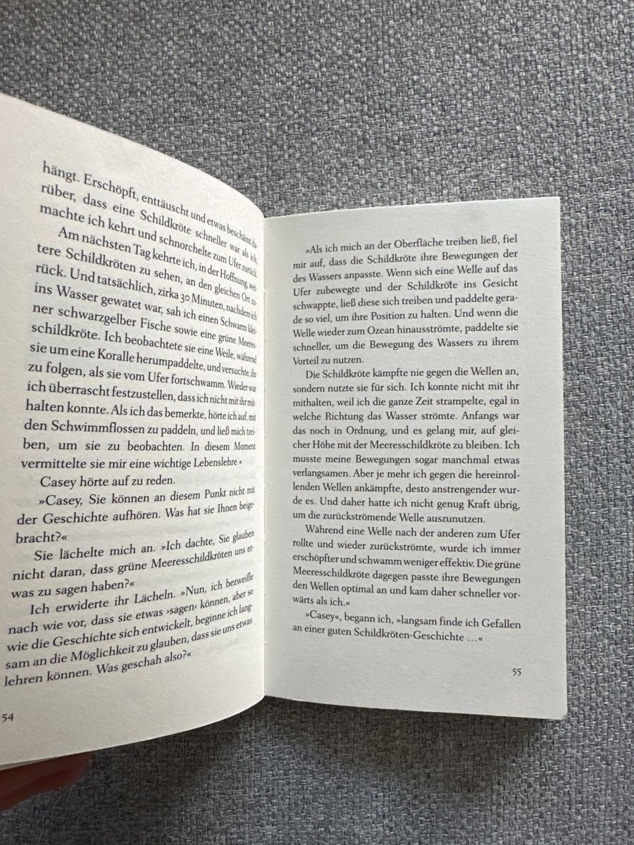 Libri: Das Café am Rande der Welt – Nuovo (secondo la descrizione) da Olten venduto da sincerusss 1