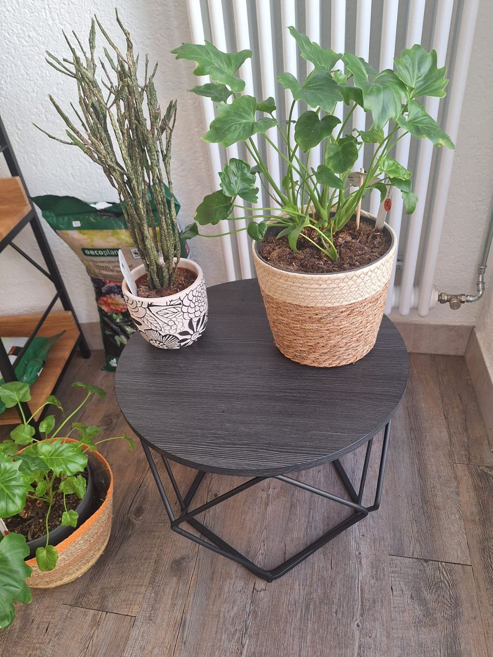 Tische: Tables d'appoint – Gebraucht aus Neuchâtel von laureen-h 1