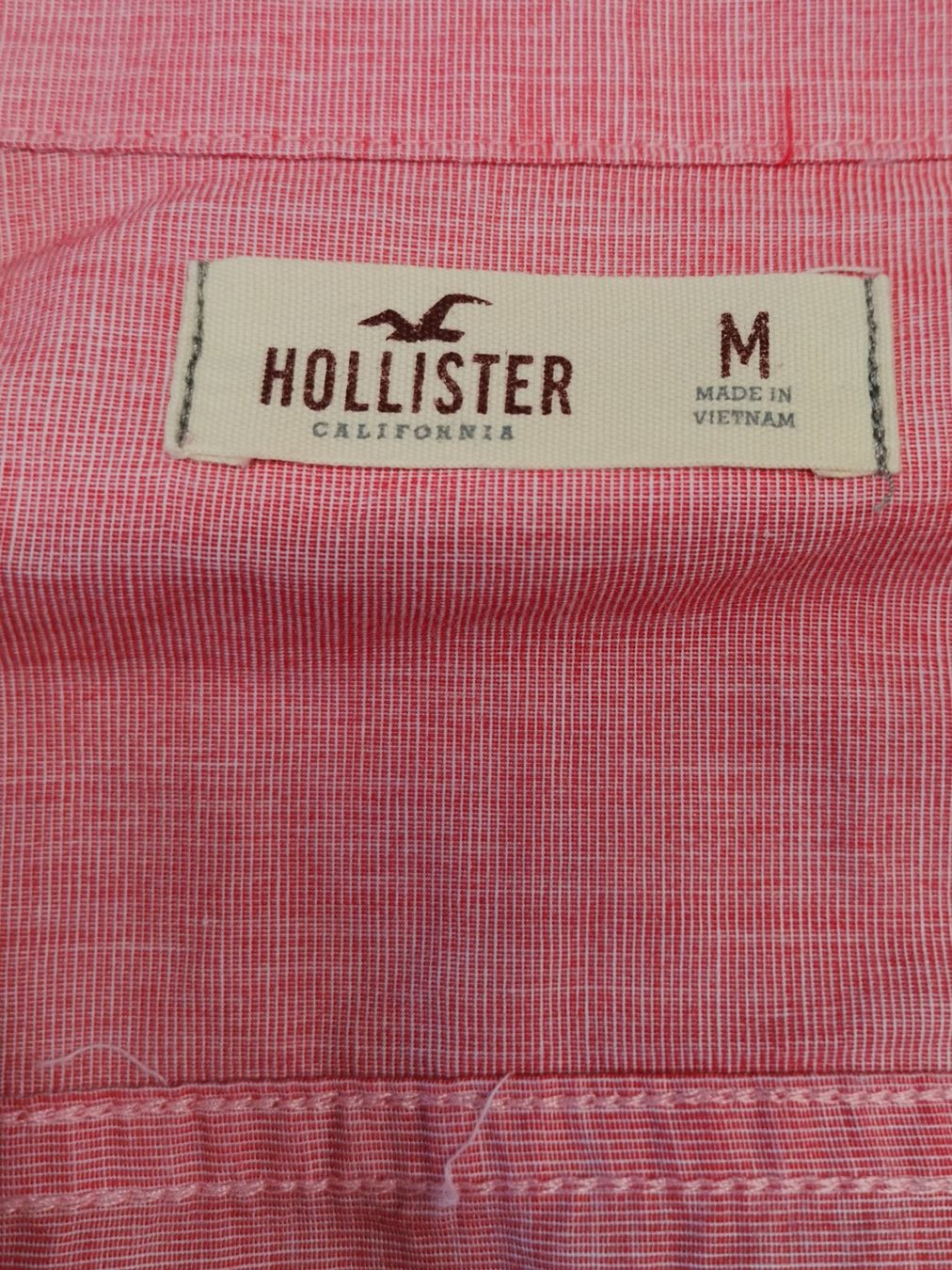 Hollister Camicie: HOLLISTER Herrenhemd – Usato da Schaffhausen venduto da Restwert_SH 6