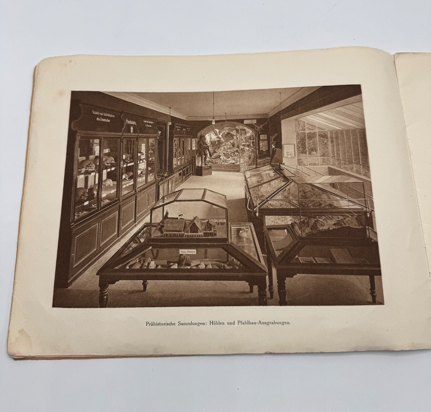 Libri: Original Gletschtergarten Luzern 1872-1925 – Usato da Sachseln venduto da BONATI01 4