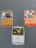 Pokémon Karten - Top Zustand!
