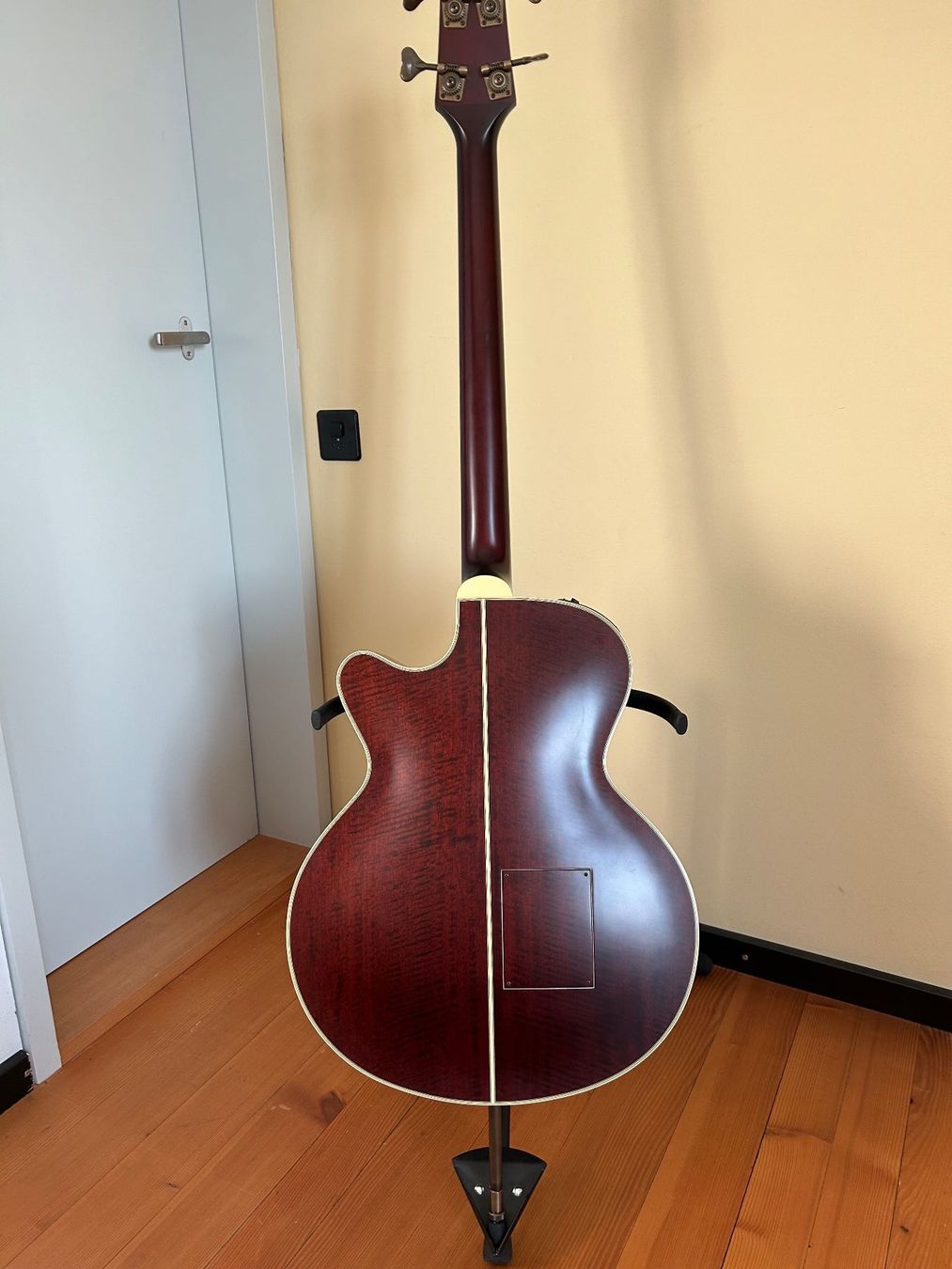 Takamine Instruments de musique: Takamine TB10 – D'occasion à Birrwil par rot_v7sc 1
