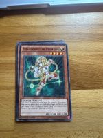 Fixsternritter Prokyon Yu-Gi-Oh Karte 1. Auflage