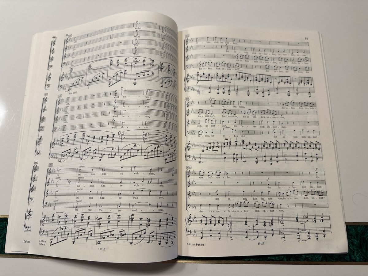Libri: Brahms: Ein deutsches Requiem, Klavierauszug – Usato da Wald ZH venduto da Martin79 6