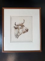 Gerahmtes Bild – Kuhkopf, Aquarell/Zeichnung, 29,5 × 33,5 cm