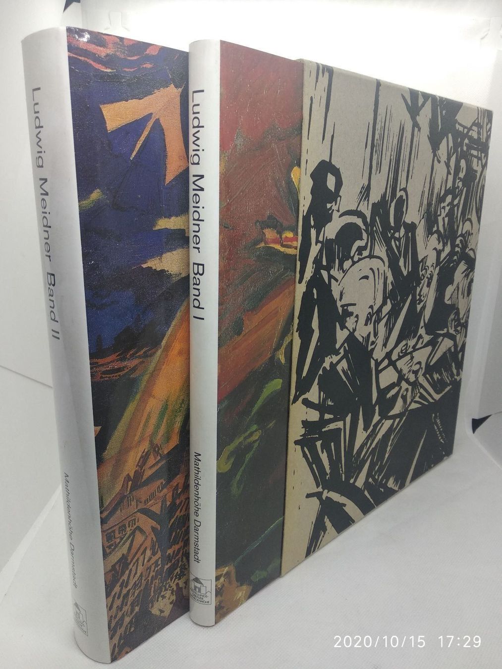 Libri: LUDWIG MEIDNER – Usato da Goldach venduto da Gaip