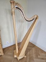 Harfe 40 Saiten Salvi Ana gebraucht