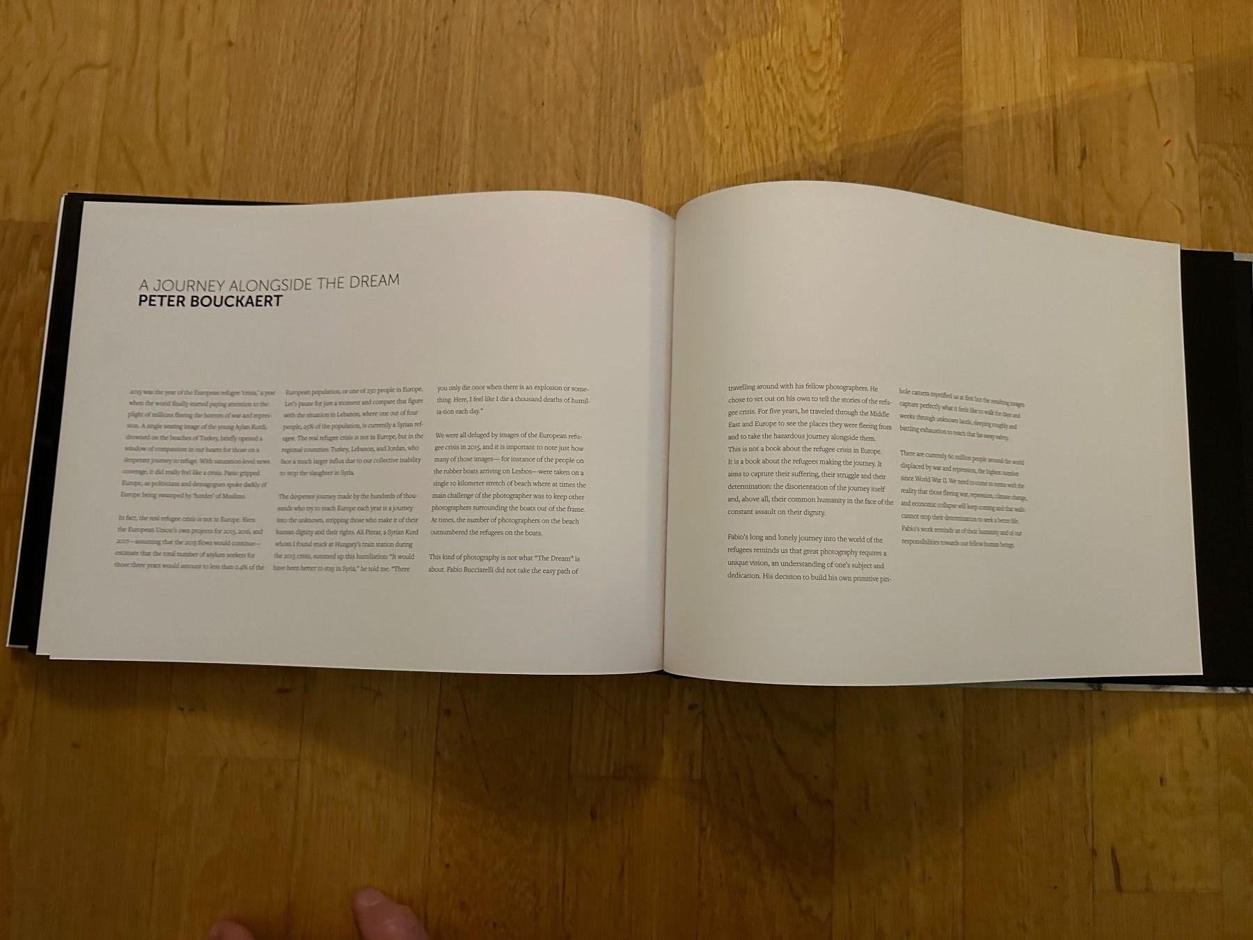Libri: Fabio Bucciarelli: The Dream – Usato da Zürich venduto da allp 8