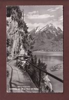 BÜRGENSTOCK - Felsenweg - 1953