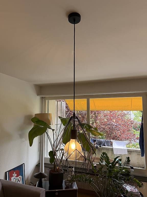 Lustres & lampes de plafonds: Hängeleuchte schwarz – D'occasion à Bern par gregnenn 2