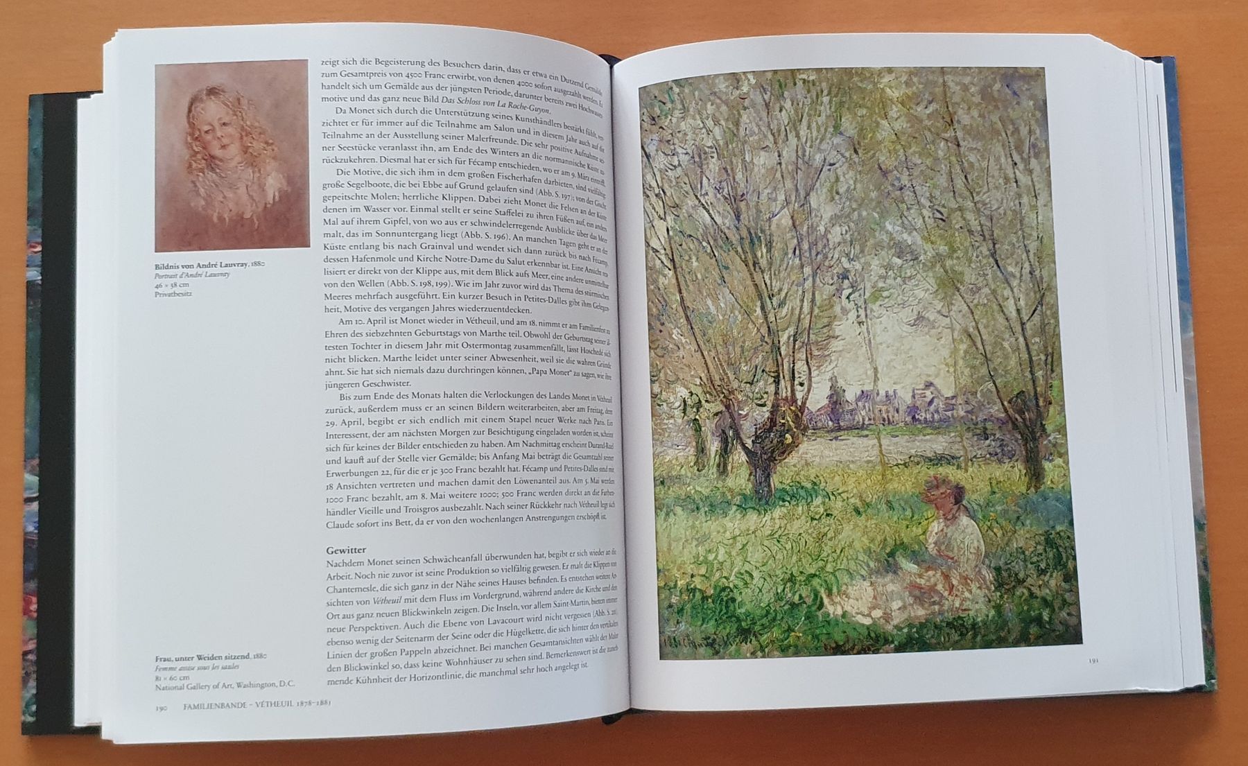 Libri: Monet - Der Triumph des Impressionismus: Grosser Bildband – Usato da Kreuzlingen venduto da Rschweiz1 4
