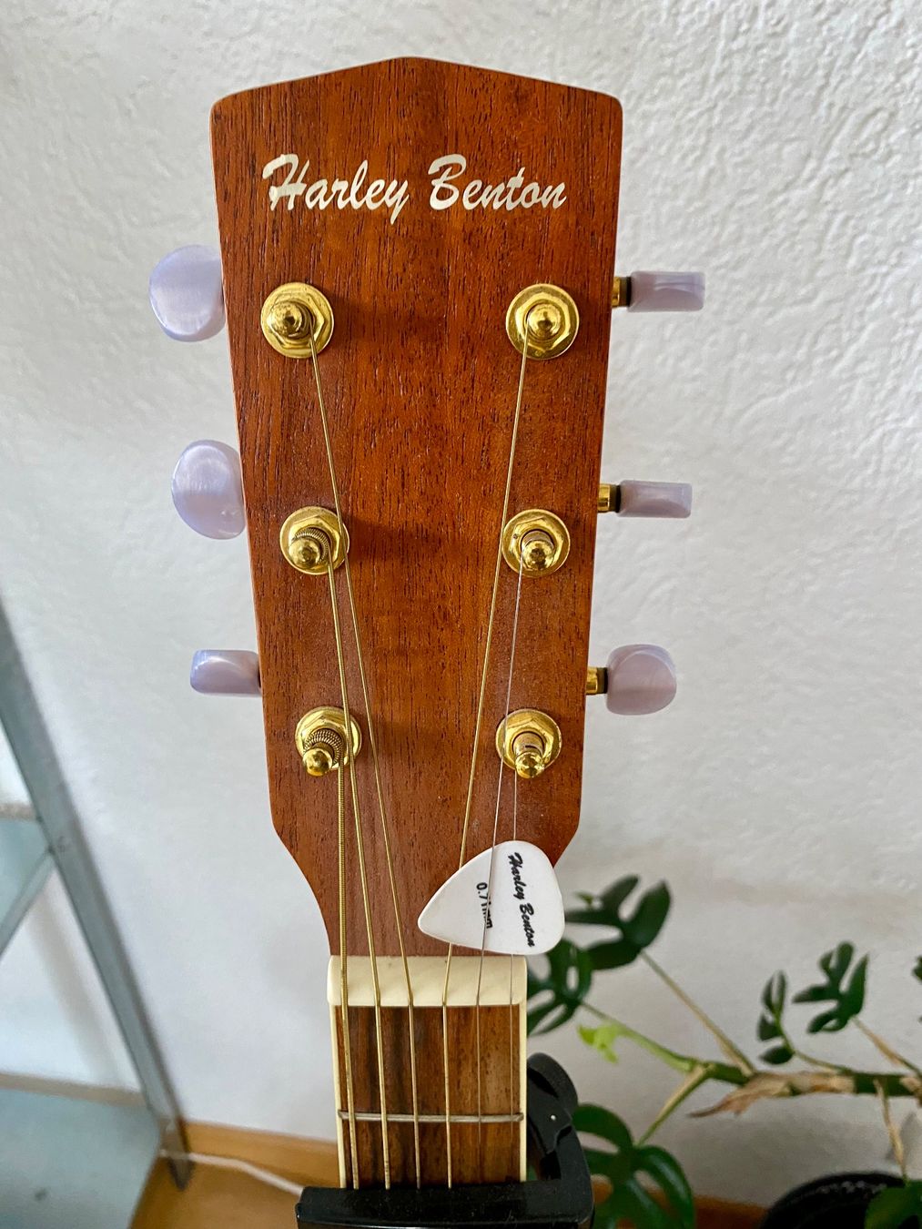 Harley Benton Strumenti musicali: Gitarre Hatley Benton – Usato da Steffisburg venduto da Tatjana_Beck 3