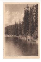 FLIMS Waldhaus Partie am Caumasee
