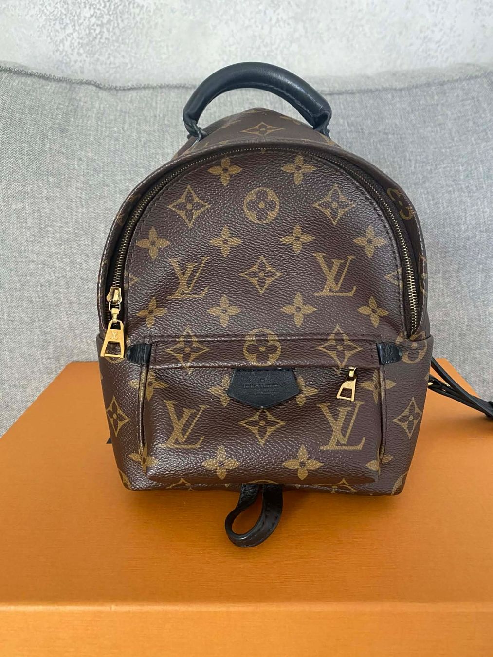 Louis Vuitton Sacs à dos: Louis Vuitton Palm Springs Mini Backpack – D'occasion à Frauenfeld par pau_77qk