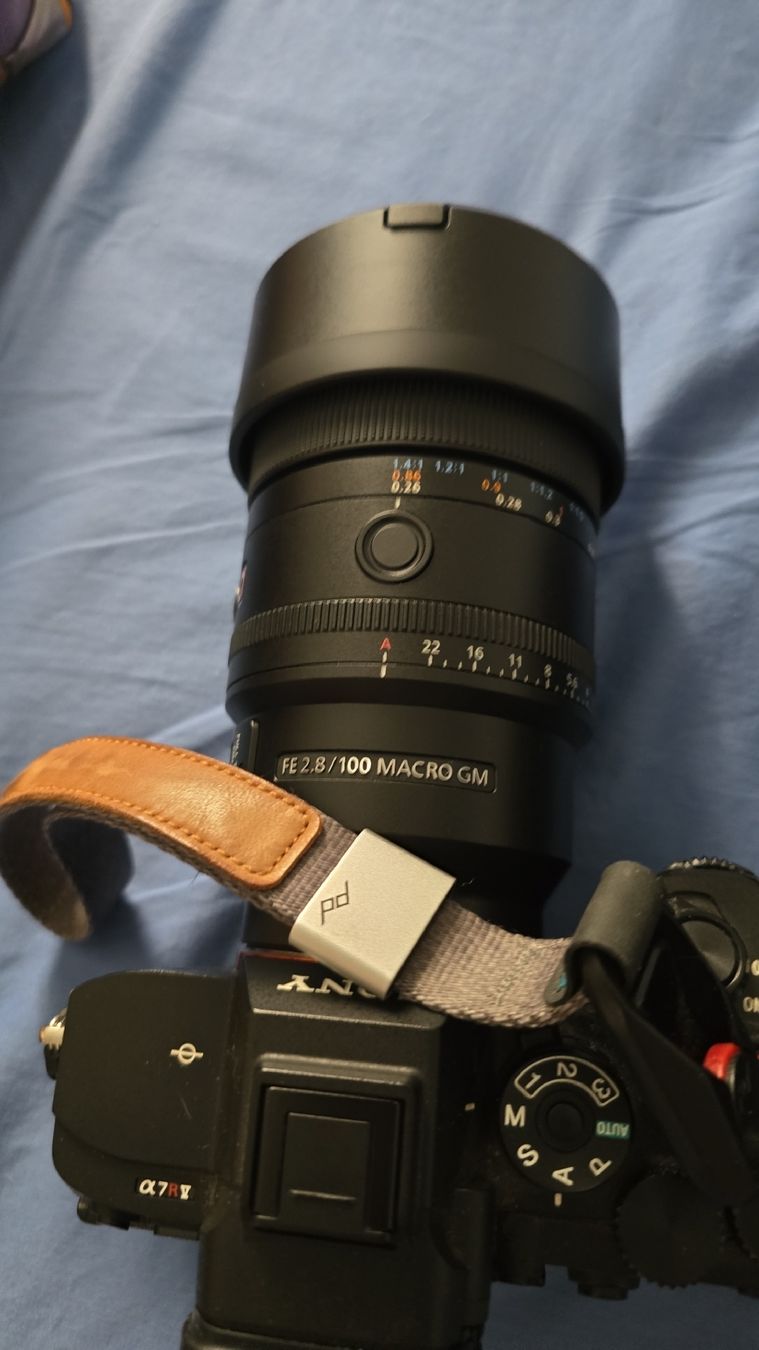Sony Fotocamera: Sony a7r v – Nuovo (secondo la descrizione) da Courfaivre venduto da sch_622x 2