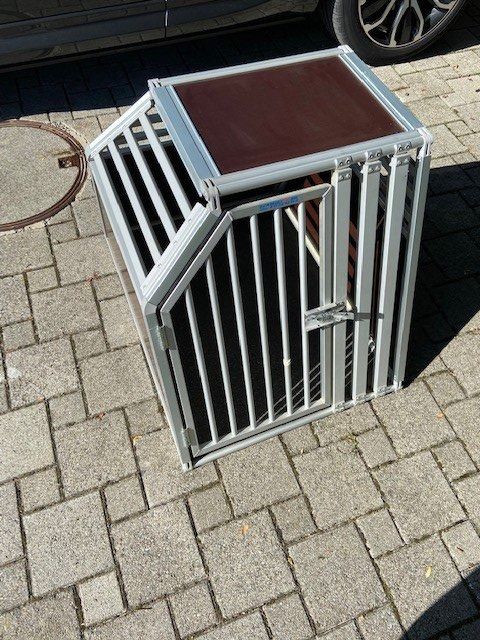 Acouto Schweinefängerstab Aus Edelstahl – T-Griff, Ausziehbar 67 Cm, Für Große Hunde, Schweine & Reptilien, Tierkontrollstange