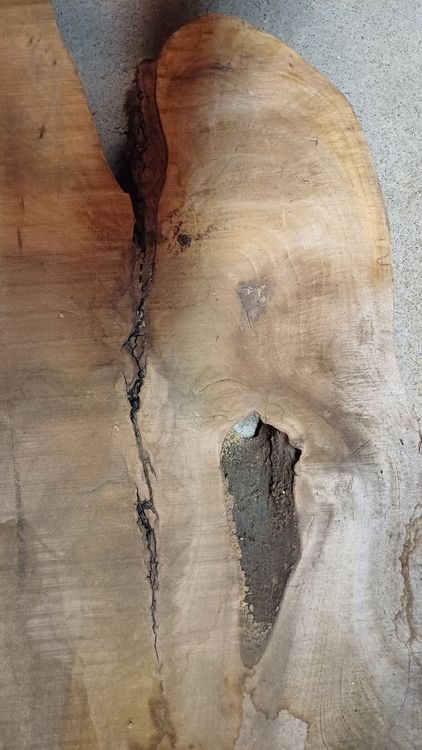Articoli in legno: Nussbaumbrett – Nuovo (secondo la descrizione) da Embrach venduto da Olympia52 3