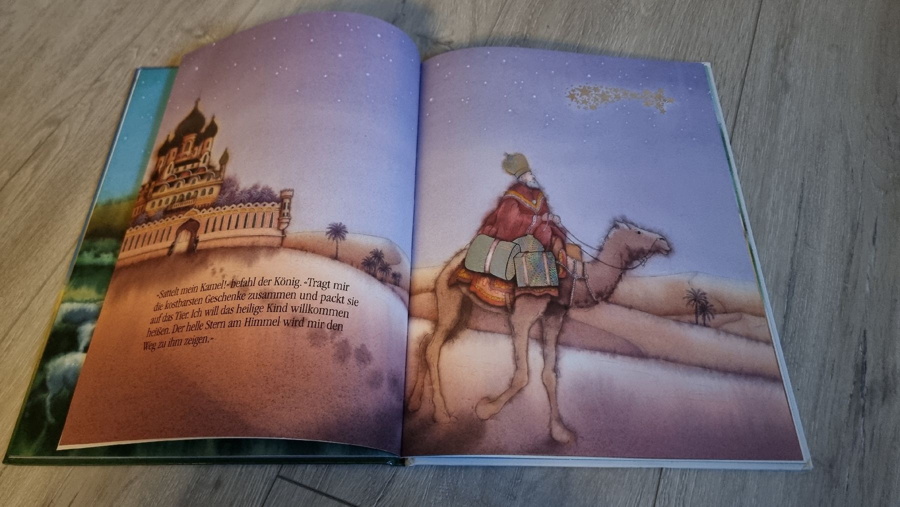 Bücher: Der Weihnachtsstern - Wunderschönes Kinderbuch – Gebraucht aus Wigoltingen von Zuckerfee84 3