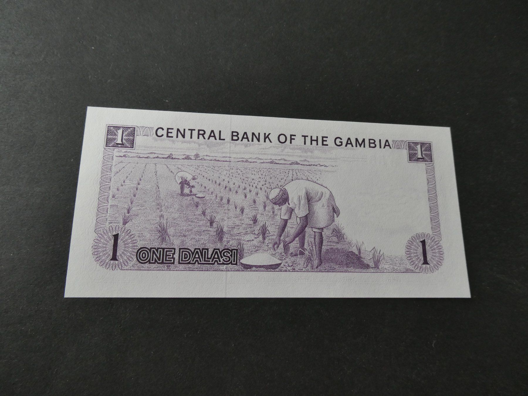 Banconote: Gambia, 1 Dalasi   ungefaltet – Usato da Hinterforst venduto da Rohusri 1