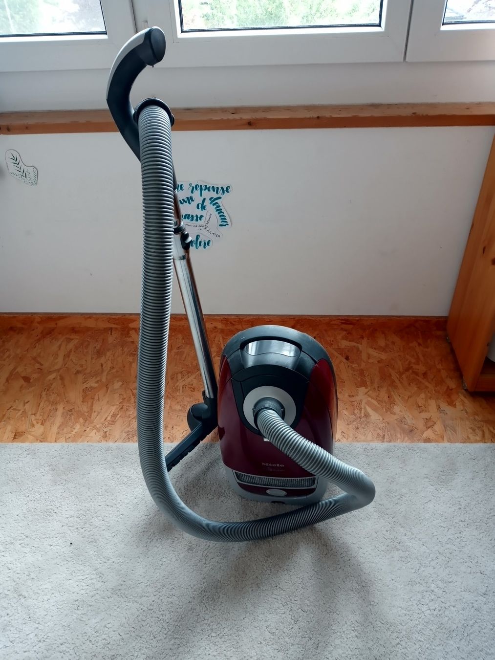 Miele Aspirapolveri & Accessori: Staubsauger Miele S5211-ch   2200w – Usato da Prez-vers-Siviriez venduto da Monija70