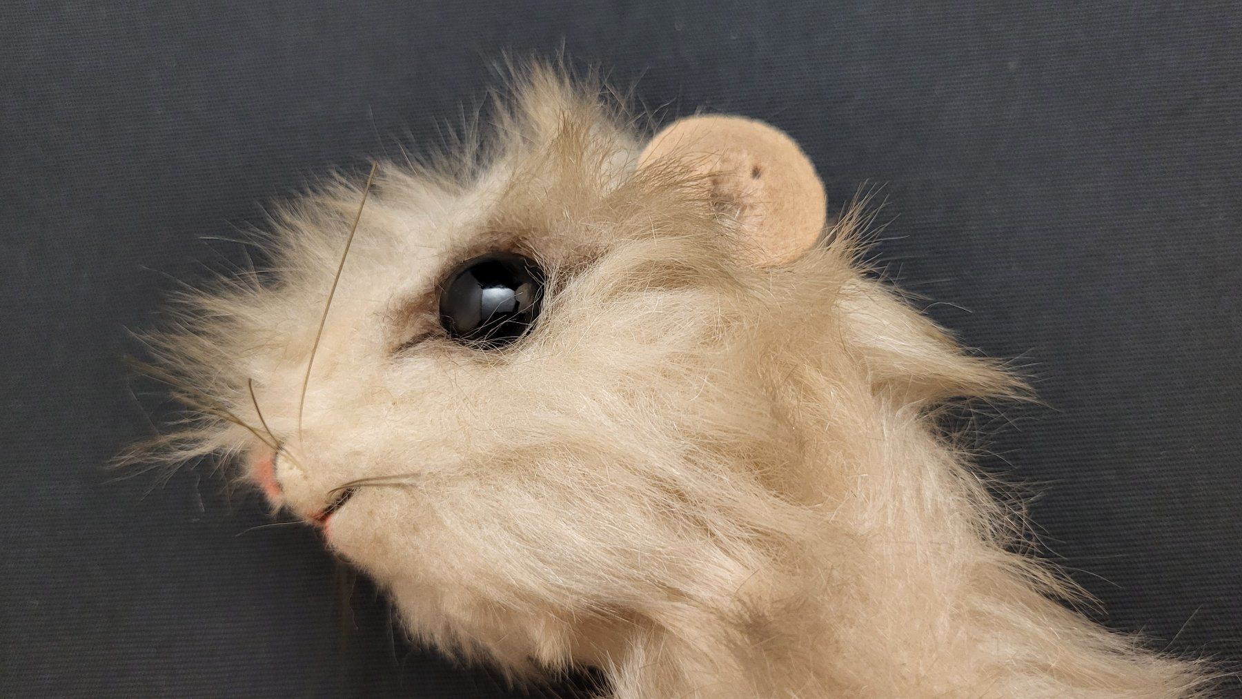Steiff Giocattoli: STEIFF Wiesel Minky – Usato da Basel venduto da spinne02