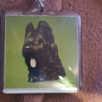 Porte-clés chien avec adresse 4x4 cm