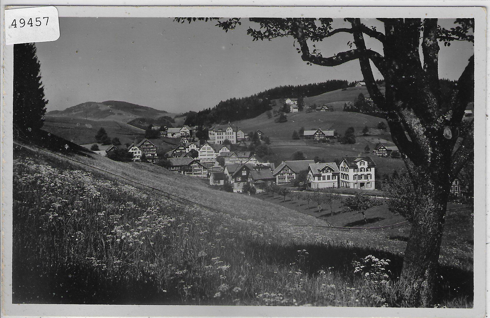 Cartoline postali: Lachen-Walzenhausen – Usato da Ettingen venduto da Kartenplanet