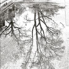 Profile image of Lydia5