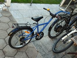 Trailer Bike Tandem Anhänger