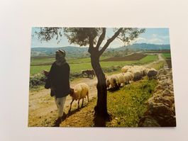 Postkarte Israel