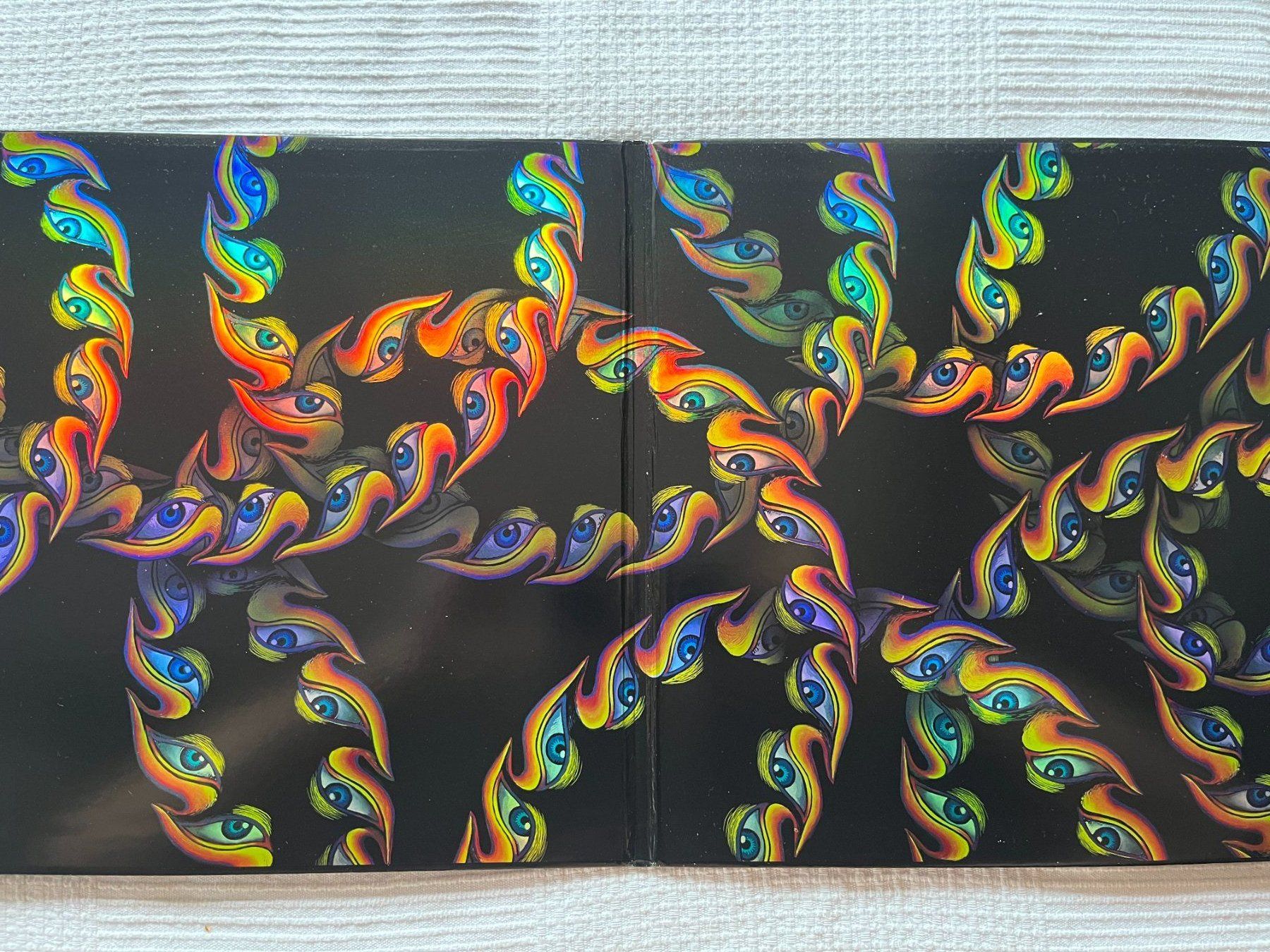 Dischi in vinile: Tool - Lateralus 2x Vinyl LP Picture DIsc! – Usato da Effretikon venduto da ChrisLamberger 1