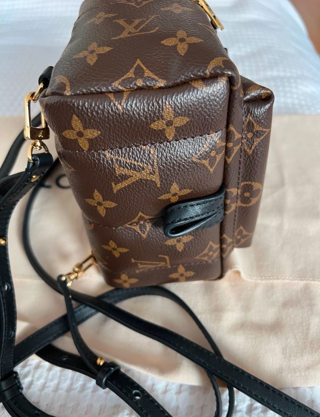 Louis Vuitton Rucksäcke: Louis Vuitton Palm Springs Mini – Gebraucht aus Riehen von karolina3 2