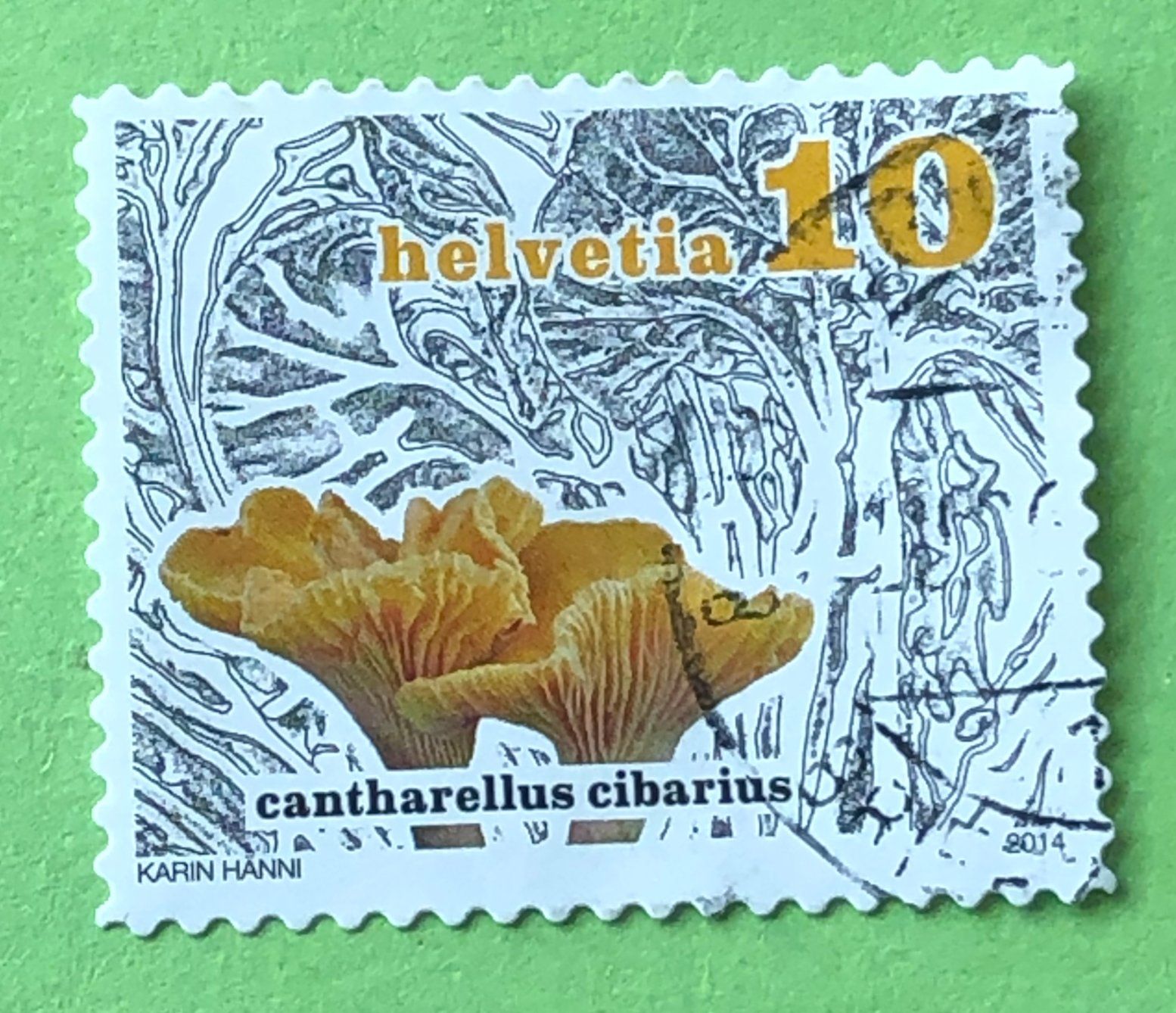 Tutti i francobolli: Nr.1503 Dauermarken Pilze GESTEMPELT 2014   – Usato da Aarau venduto da Billa007