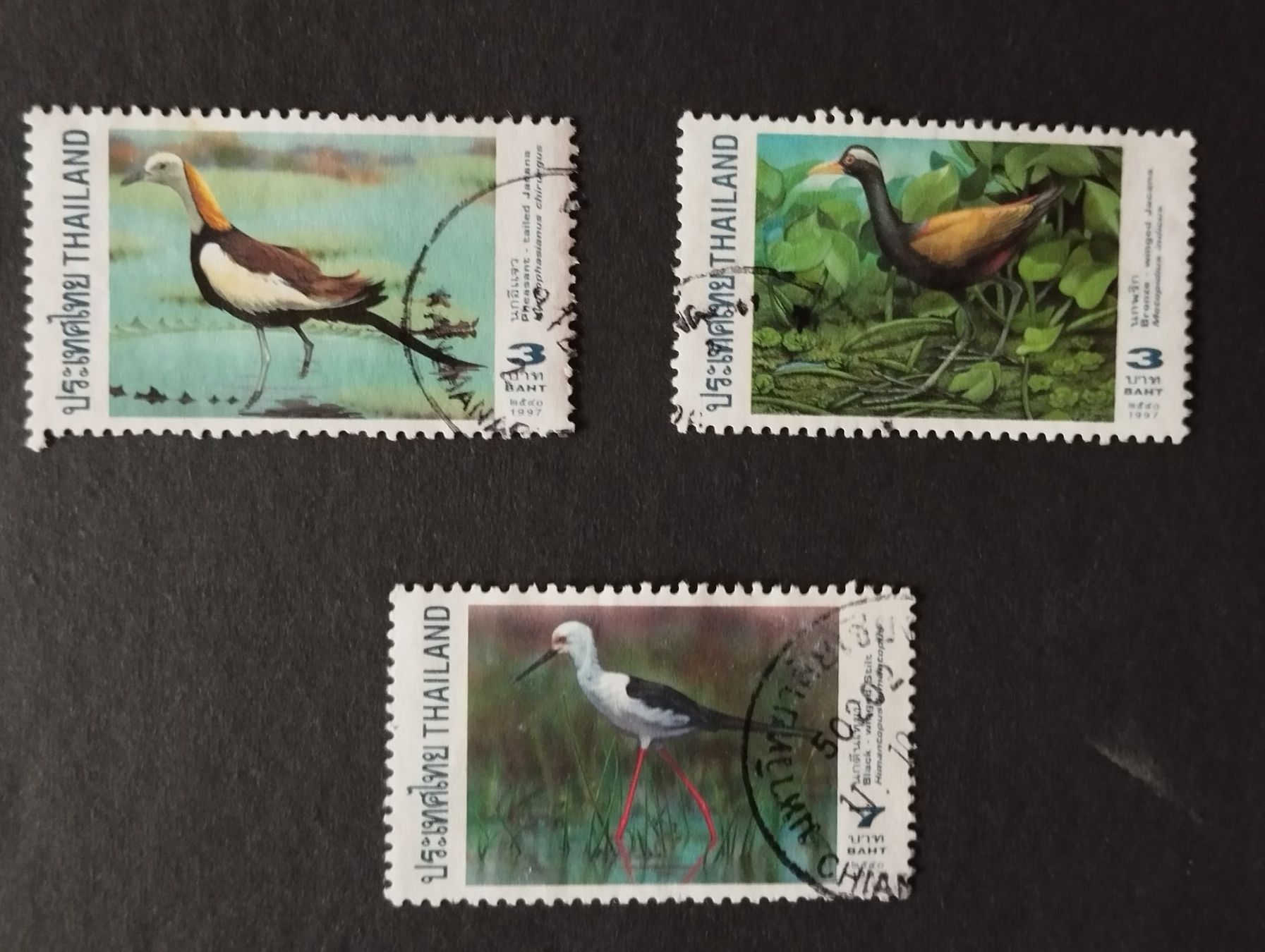 Tutti i francobolli: Thailand - 3x Wasser Vogel – Usato da Villars-sur-Glâne venduto da MiguelDelgado