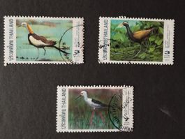 Thailand - 3x Wasser Vogel