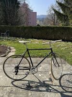 MAY Fahrrad zu verkaufen