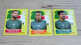 Panini FIFA World Cup WM 2026 - ALGERIEN - ALG 6 - 10 - 19