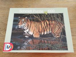 puzzle tigre
