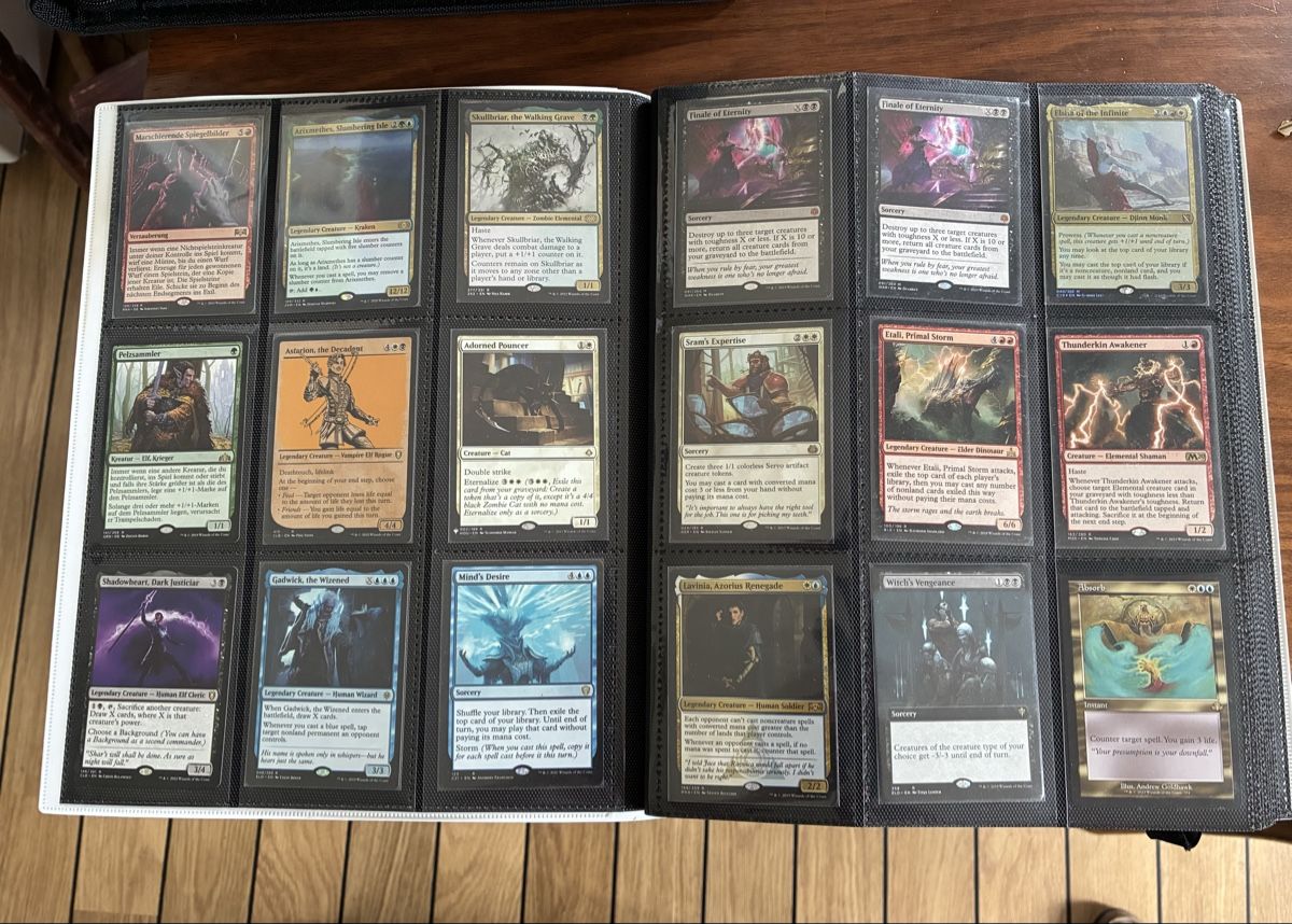 Magic The Gathering Carte collezionabili: MTG: 360 Rares im UltraPro Binder – Usato da Basel venduto da leinaz 1