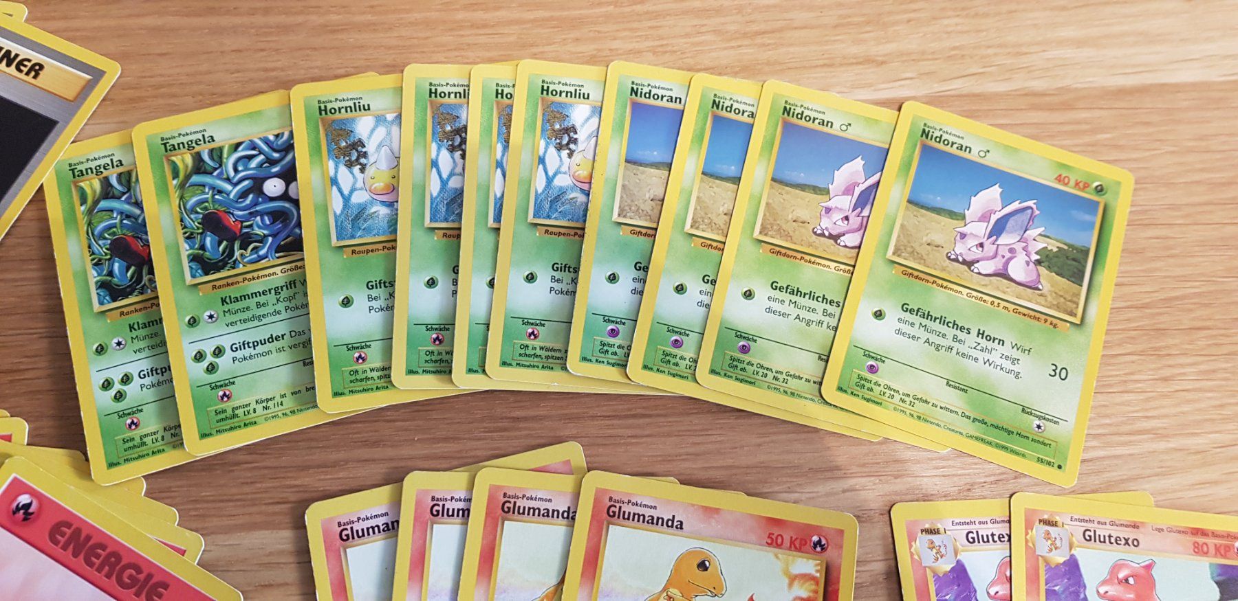Pokémon Carte collezionabili: Pokemon Themendeck Buschfeuer – Usato da Müllheim Dorf venduto da Randy026 3