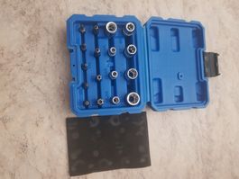 Profi Nussensatz Vielzahn Torx, 20 teilig, neuwertig