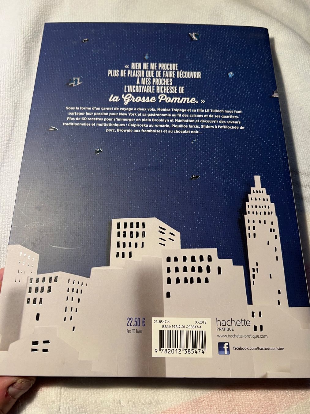Libri: Big Apple livre Cuisine – Usato da Sergey venduto da Mascotte00 1