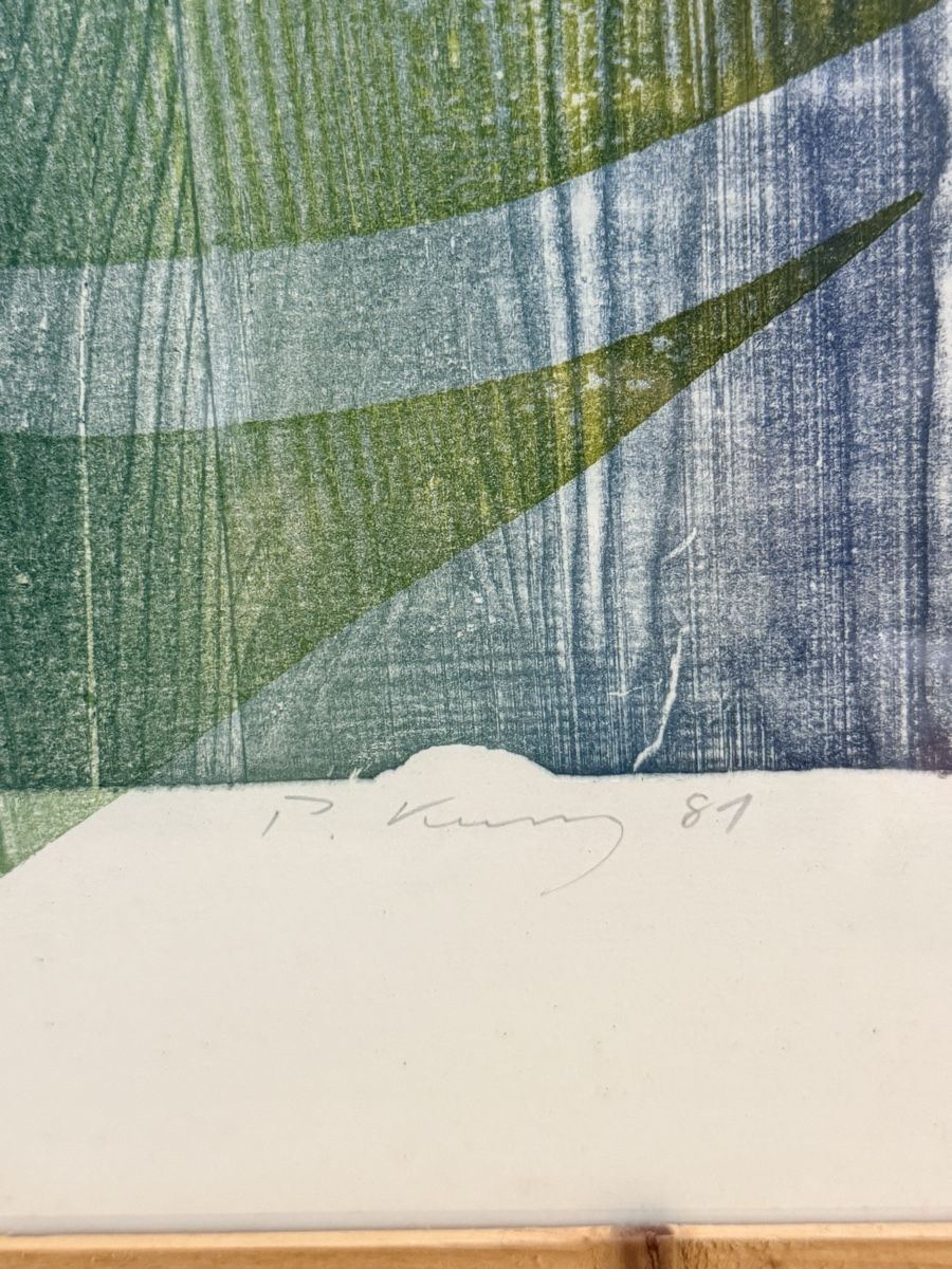 Grafica & Litografie: Litho E.A von PETER KUNZ 81’ – Usato da Solothurn venduto da NUVICO 2