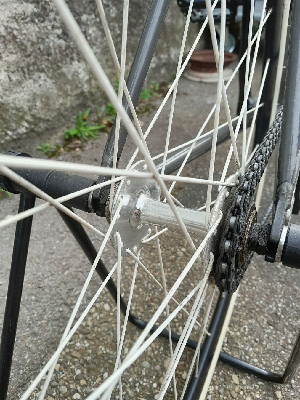 Felt Velos: Felt Brougham Singlespeed Fixie – Gebraucht aus Zeiningen von  4